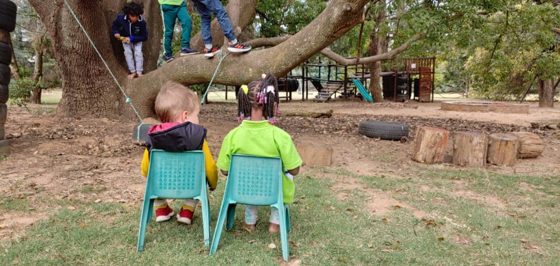 Natural Dynamix Playing teacher