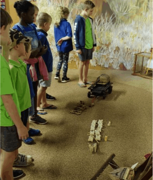 Natural Dynamix Roodepoort museum