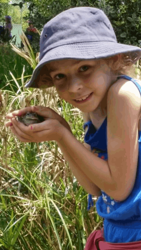 Natural Dynamix We have sooo many frogs